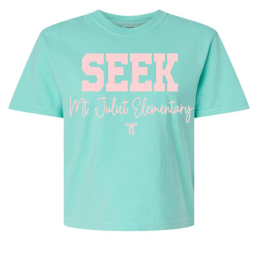 Seek Mt Juliet Elementary Boxy Crop