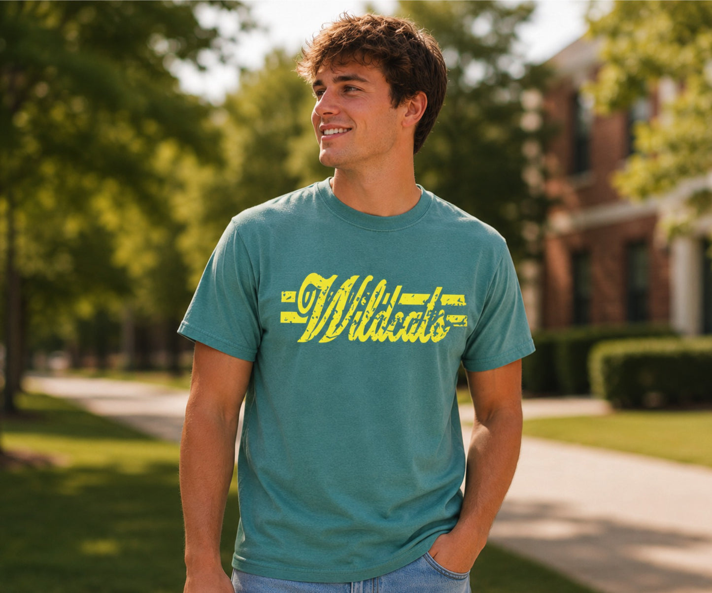 Vintage Wildcats Distressed Tee