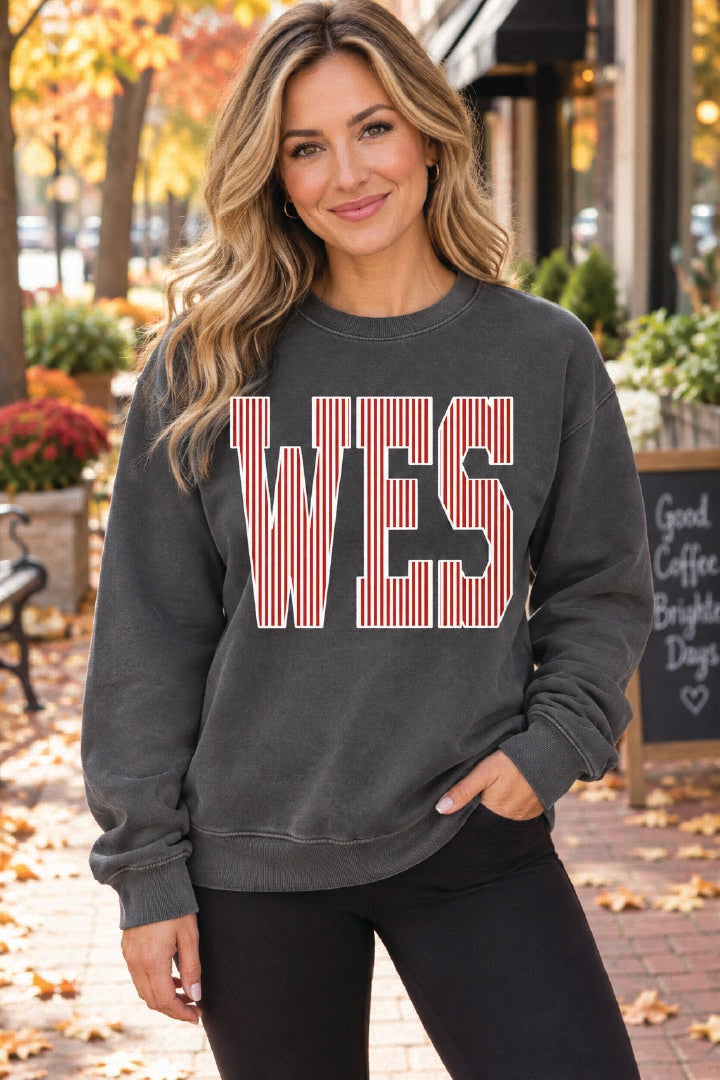 WES Seersucker Crewneck Sweatshirt