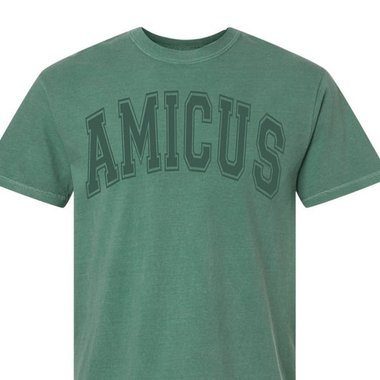 Amicus House Tone on Tone Tee