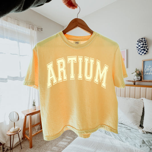 Artium House Tone on Tone Boxy Crop Tee