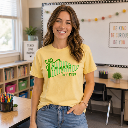 Cougars Striped Pennant Comfort Colors Tee
