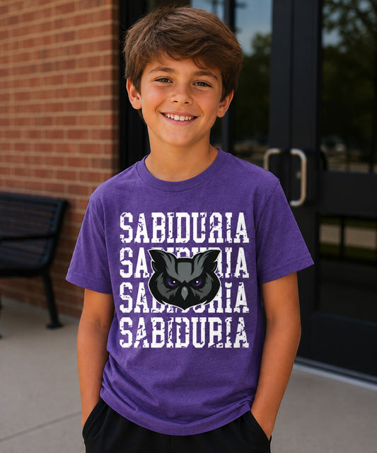 Distressed Sabiduria House Mascot Tee