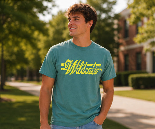 Vintage Wildcats Distressed Tee